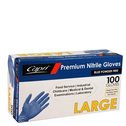 Gloves Nitrile Powder Free Blue Large