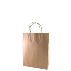Paper Carry Bag Twist Handle Small Kraft Brown 350X260X90mm
