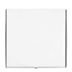 Pizza Box Plain White/Inner Brown 15 Inch