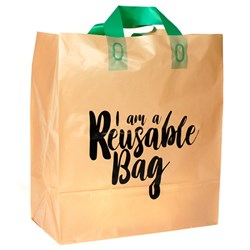 Carry Bag Reusable Plastic Brown 300X355X170mm