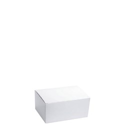 Snack Box Plain White Medium