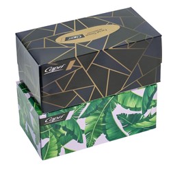 Facial Tissues 2 Ply 200 Pack White