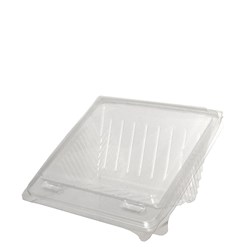 Sandwich Wedge Recycled Pet4 Point Clam Clear 
