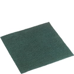 Scourer Sponge Green 225x150mm