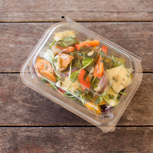 RPET Freshview Containers