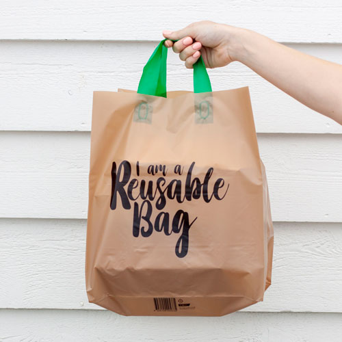 Reusable Bags