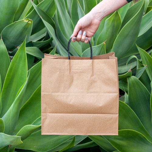 Paper Bags